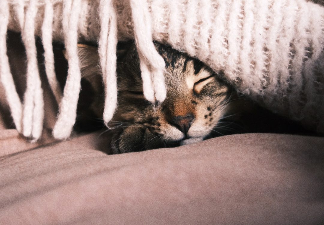 Edited with Afterlight